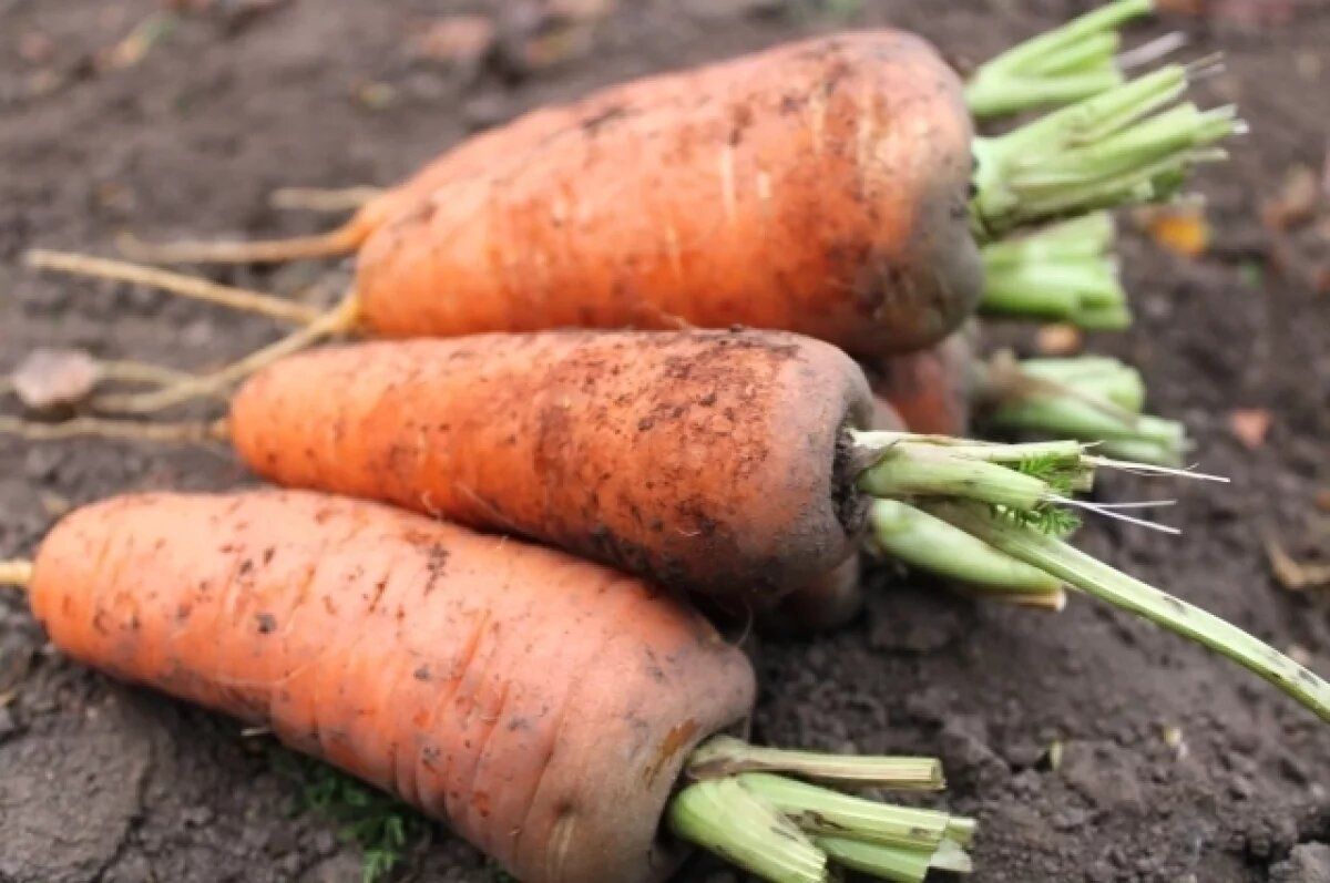 ��� ������� � ��������� �������: ������ �� ���������