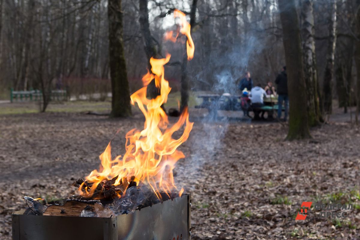 Шашлыки под запретом: Южный Урал готовится к пожароопасному сезону