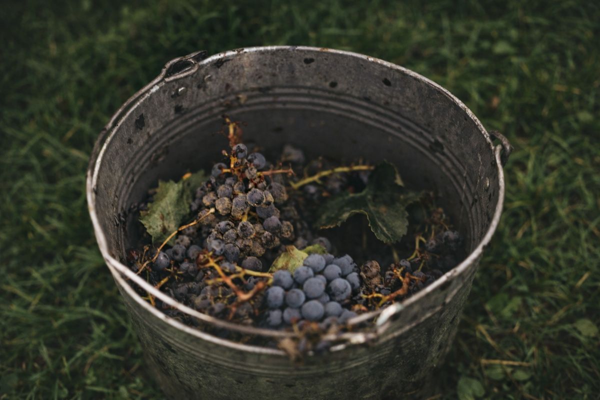 ��� ���� ���������� �����: �� �������� � �������� �����