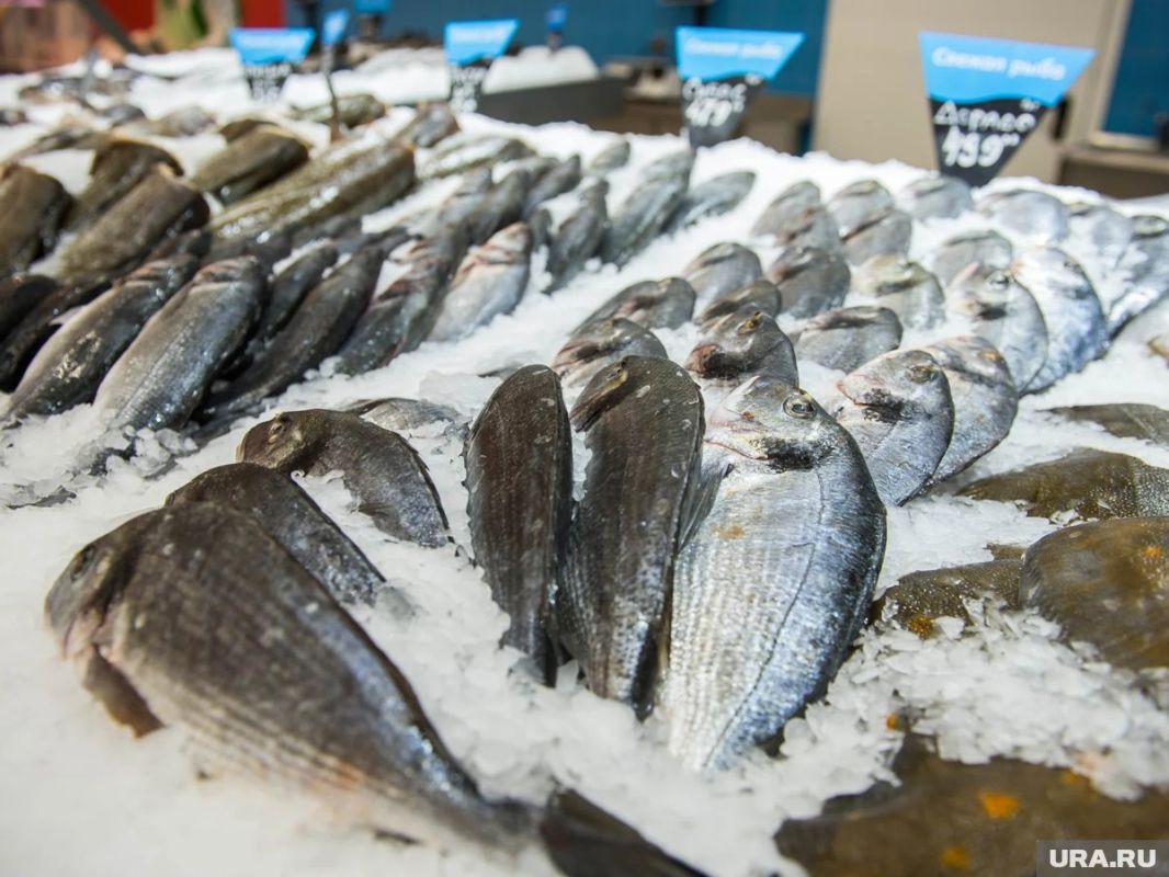 Как магазины обманывают покупателей рыбы: новая правда о freshness