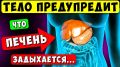 Как распознать перегрузку печени: 6 тревожных признаков