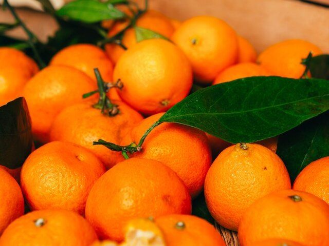 ��� ������� ��������� ���������: ������ �� �����������