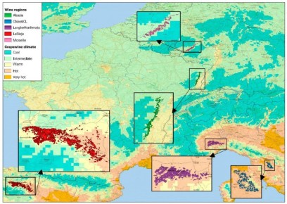 Изменение климата не повлияет на винный туризм: новые перспективы