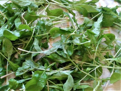 Весенний аромат: освежающая паста с зеленым соусом