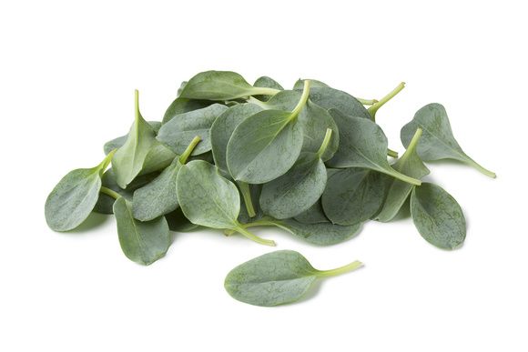 ��������� ����: � ��� ��� ���� � ������ �� �������� ������ ����� Michelin