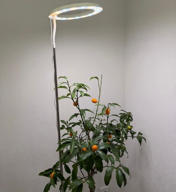 ���� ��������: ��� ��������� ������� � �������� ��������