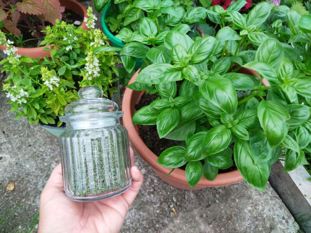 ����������� ����: ��������� ������� ��� ������ ��������