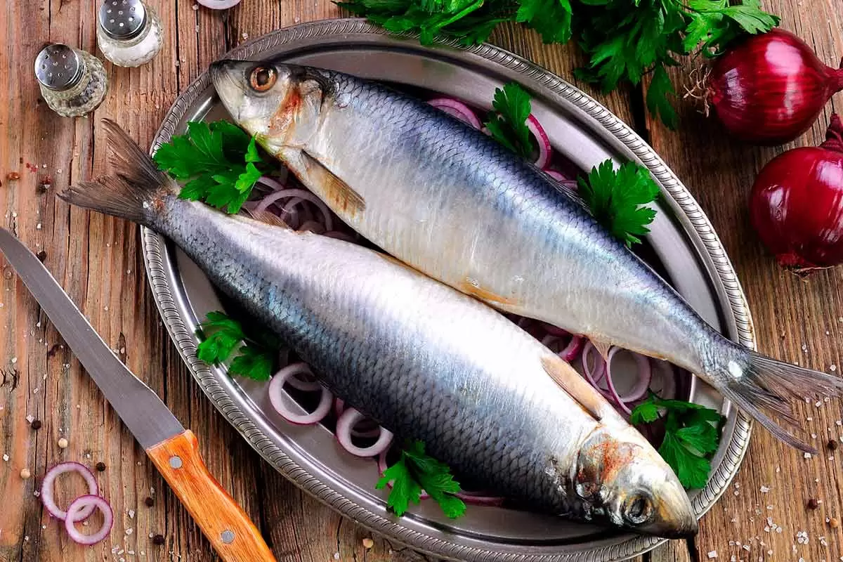 Как выбрать идеальную соленую сельдь: советы экспертов
