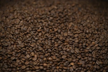 �������� ����������, � ��� �� ����� ���� ����