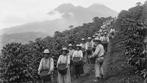 ���� � ����������: ����������� �����