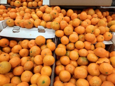 ����� ��������� ����������: ��� �������� ��������� ����� �� ��������