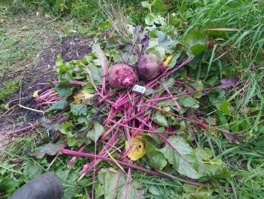 ������ "������� ���" �� ����� ��������� ������������ ����� ���������