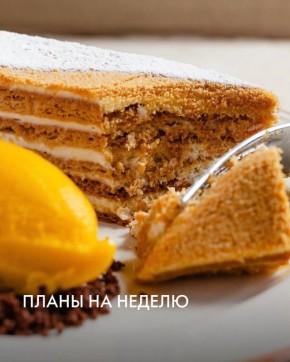 ���������� ������������: ��� ��������� Novikov Group �� ���� ������