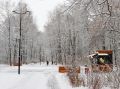 Парк «Дубки» не будет отмечать Масленицу в этом году